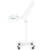 LAMPA LUPA LED S4 + STATYW